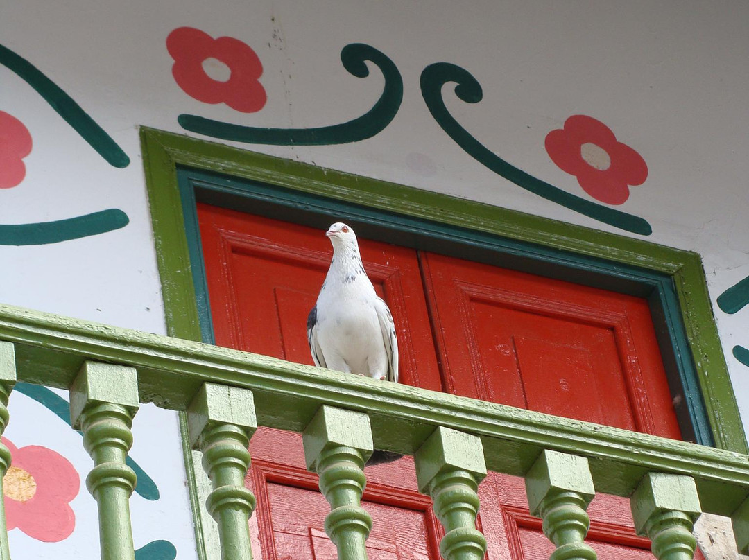 Antioquia-利马必去景点