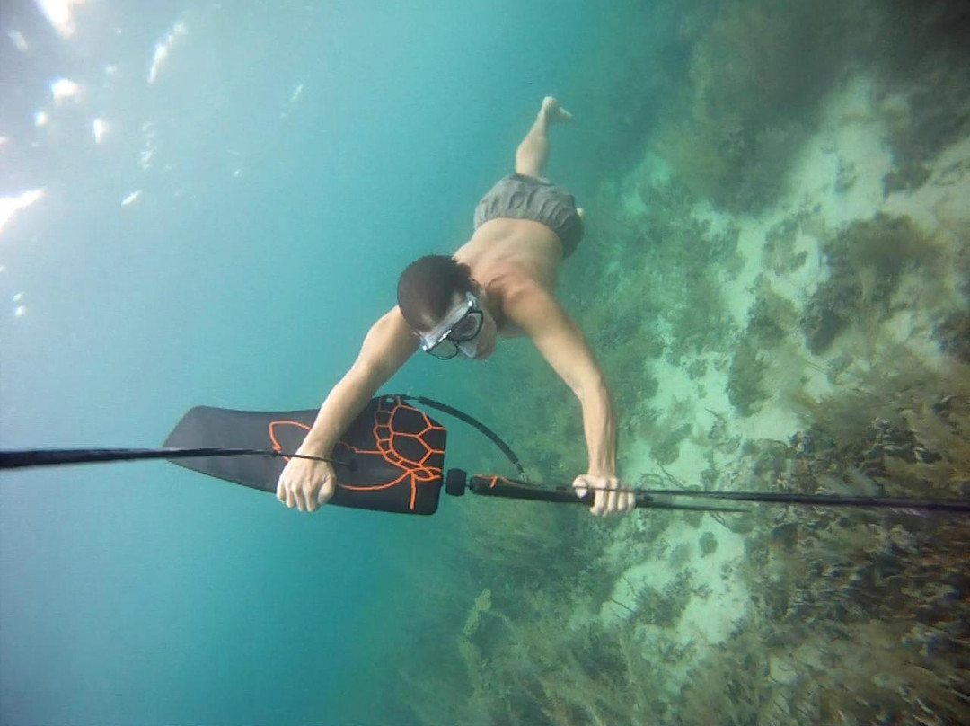 Coral Surfing Day Tours景点图片