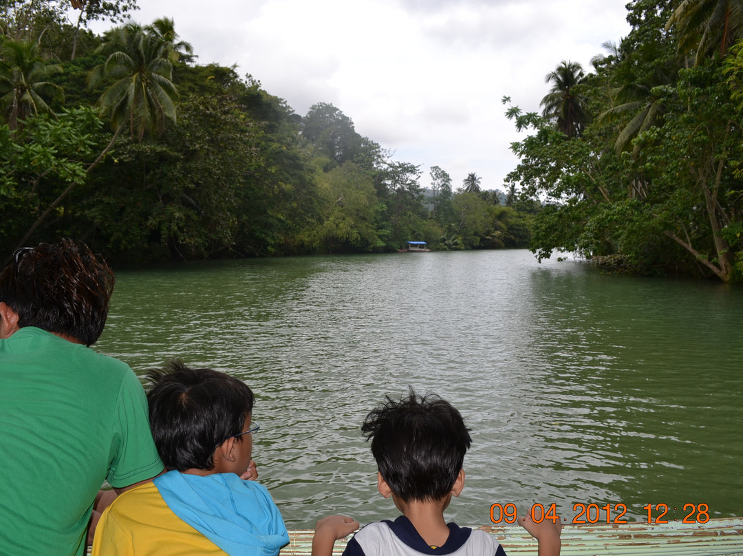 Loboc Ecotourism Adventure Park景点图片