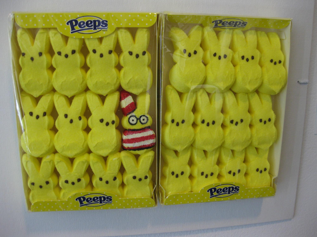 Racine Art Museum-拉辛必去景点