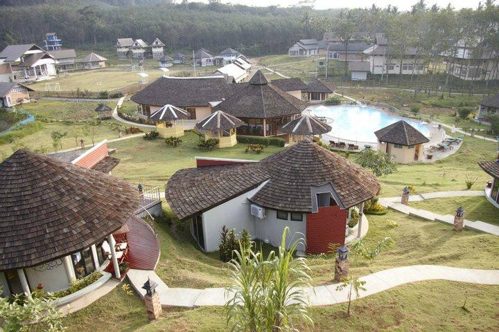 Beluga School for Life主图