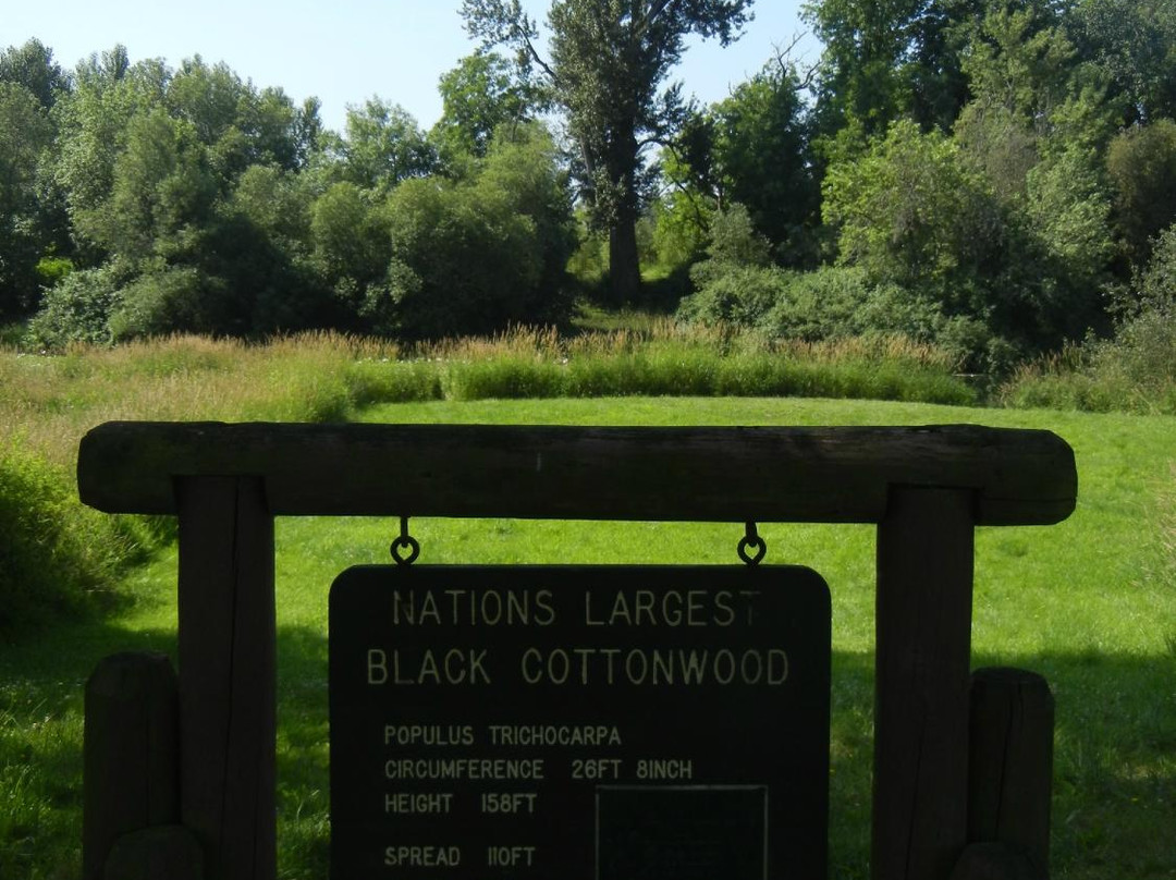 Willamette Mission State Park-塞勒姆必去景点