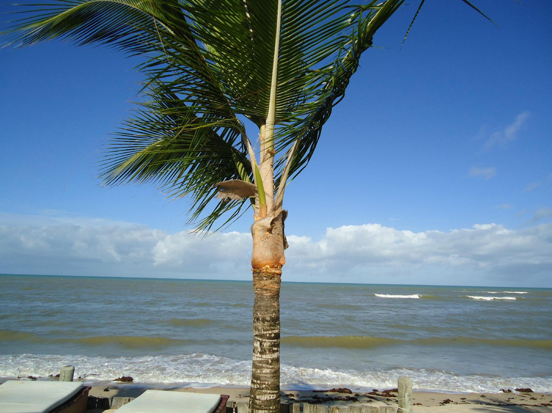 Apaga-Fogo Beach-Arraial d'Ajuda必去景点