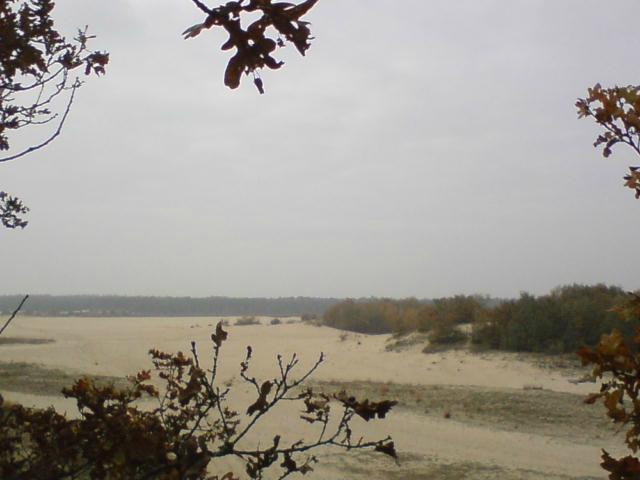 National Park de Loonse en Drunense Duinen景点图片
