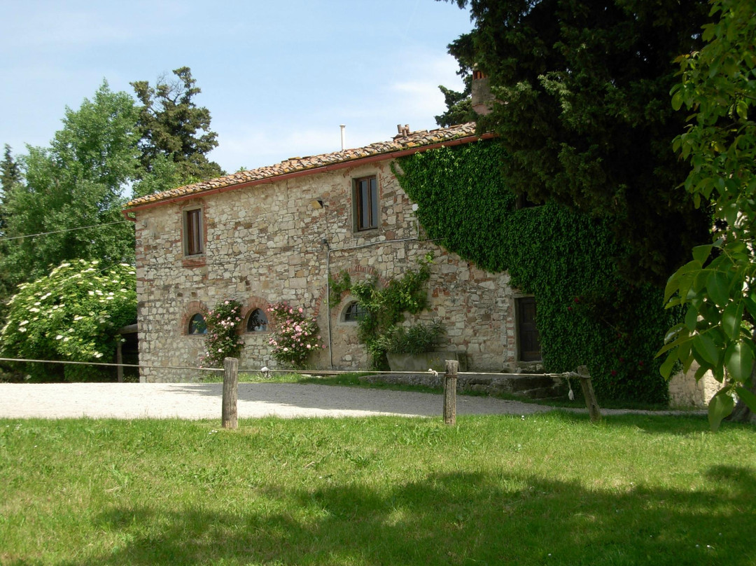 Vallebona