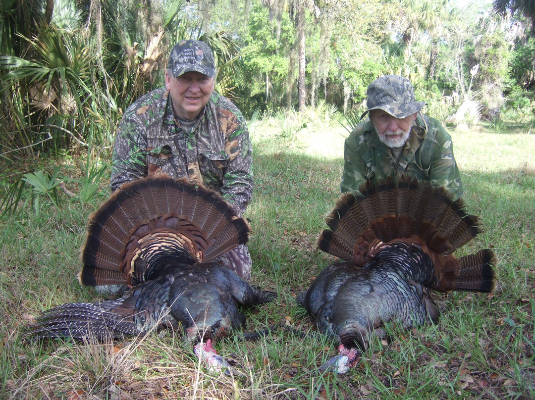 Everglades Adventures-克莱维斯顿必去景点