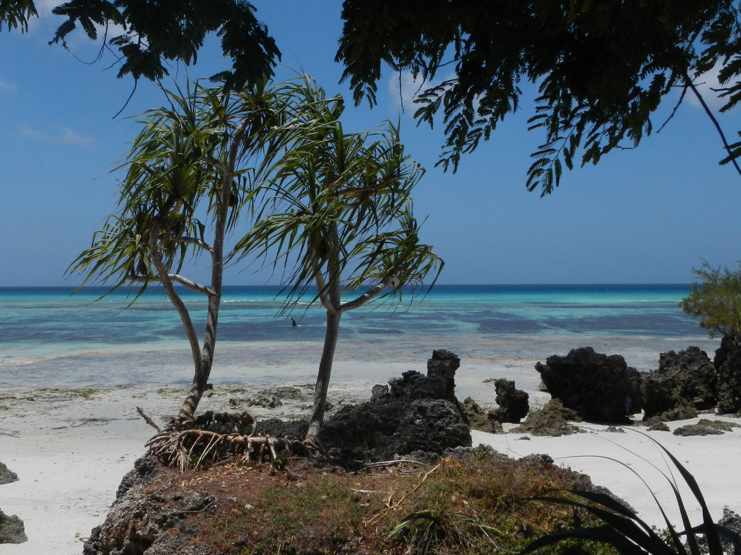 奔巴岛酒店住宿-Verani Beach Hotel
