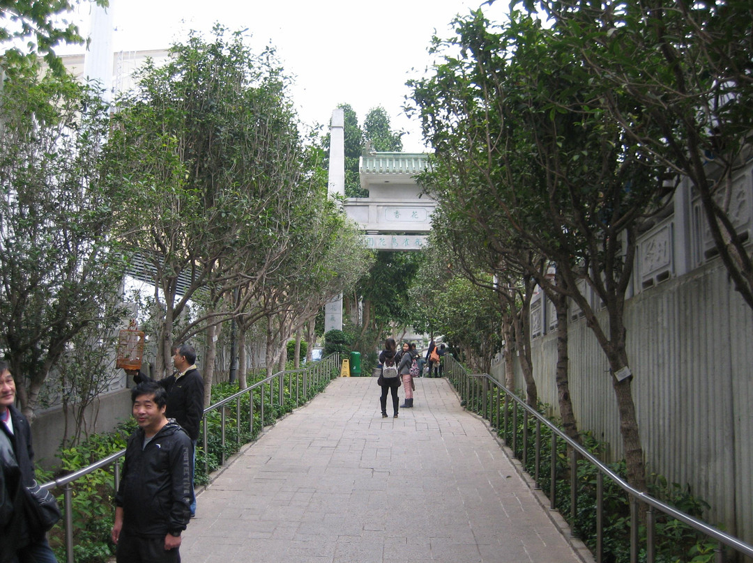 鸟市-香港必去景点