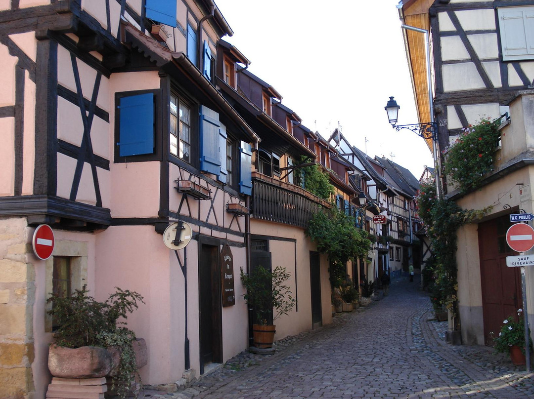 Hotel le Relais du Vignoble主图