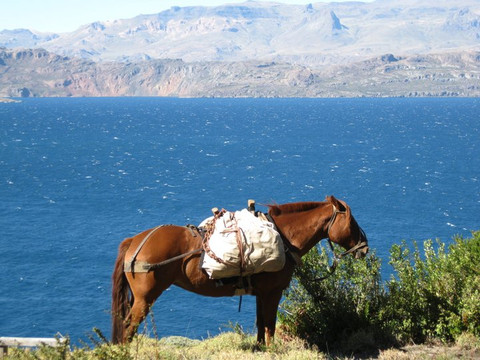 Patagon Adventures - Day Tours