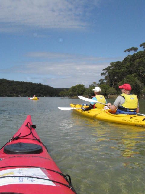 Bundeena Kayaks in Sydney景点图片