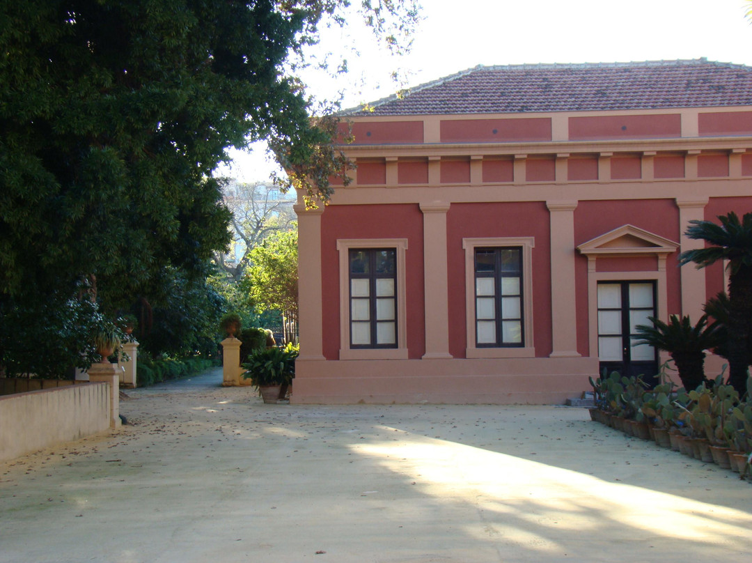 Orto Botanico di Palermo-巴勒莫必去景点