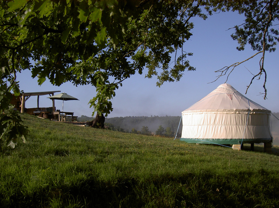 Quirky Camping Yurts