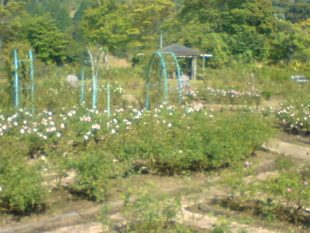 Aso Milk Factory-阿苏市必去景点