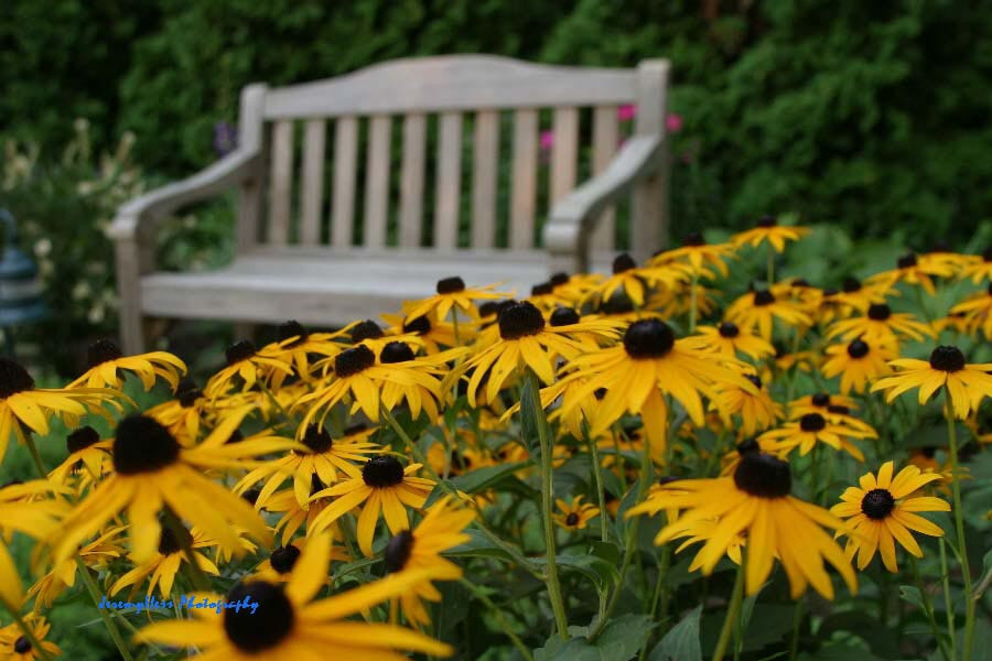 Old Road Guest Home主图