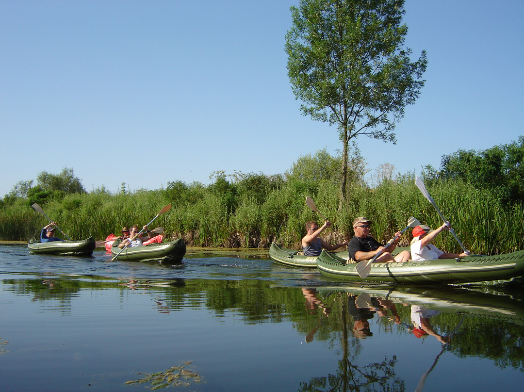 Kayak Safaris BG-布尔加斯必去景点