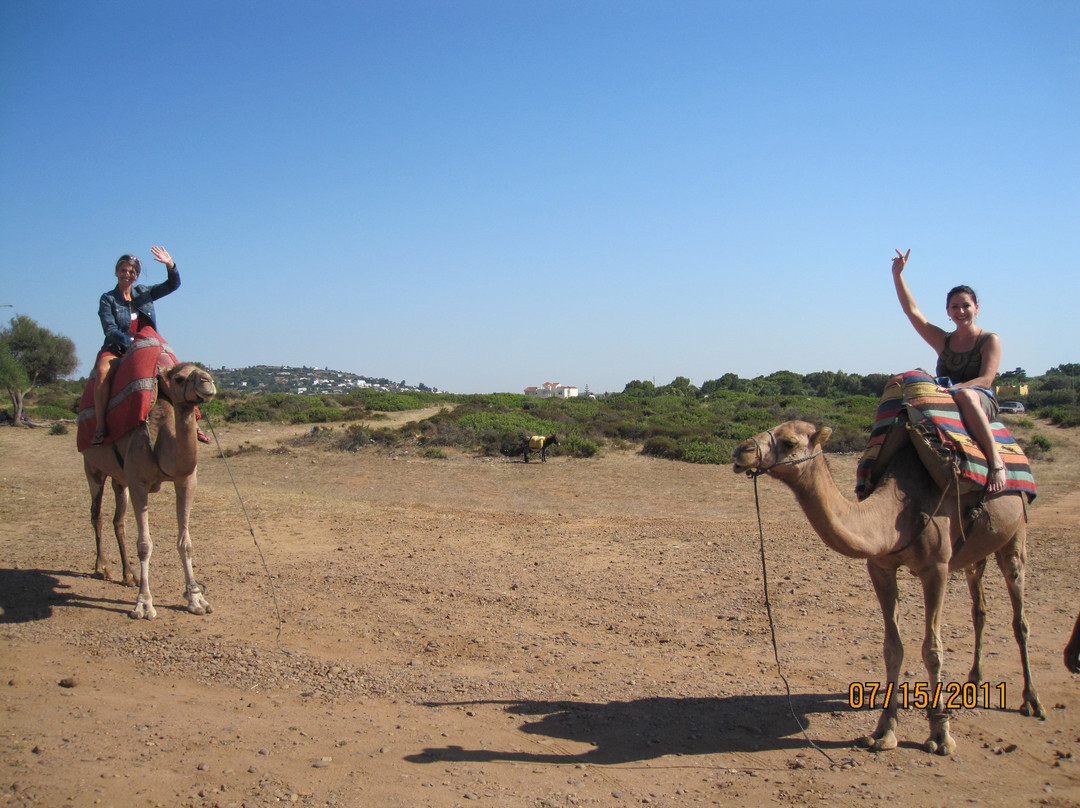 丹吉尔城堡-丹吉尔必去景点