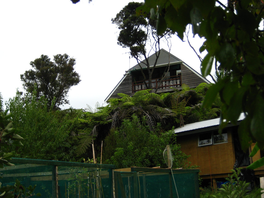 Wainui Lodge