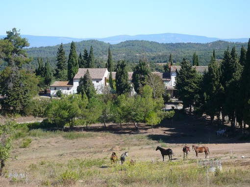Ferme Equestre de Pommayrac景点图片