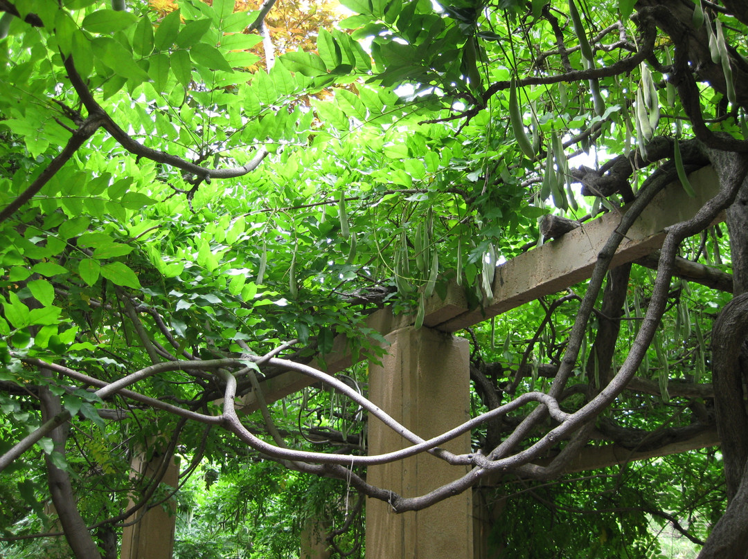 青岛中山公园-青岛市必去景点
