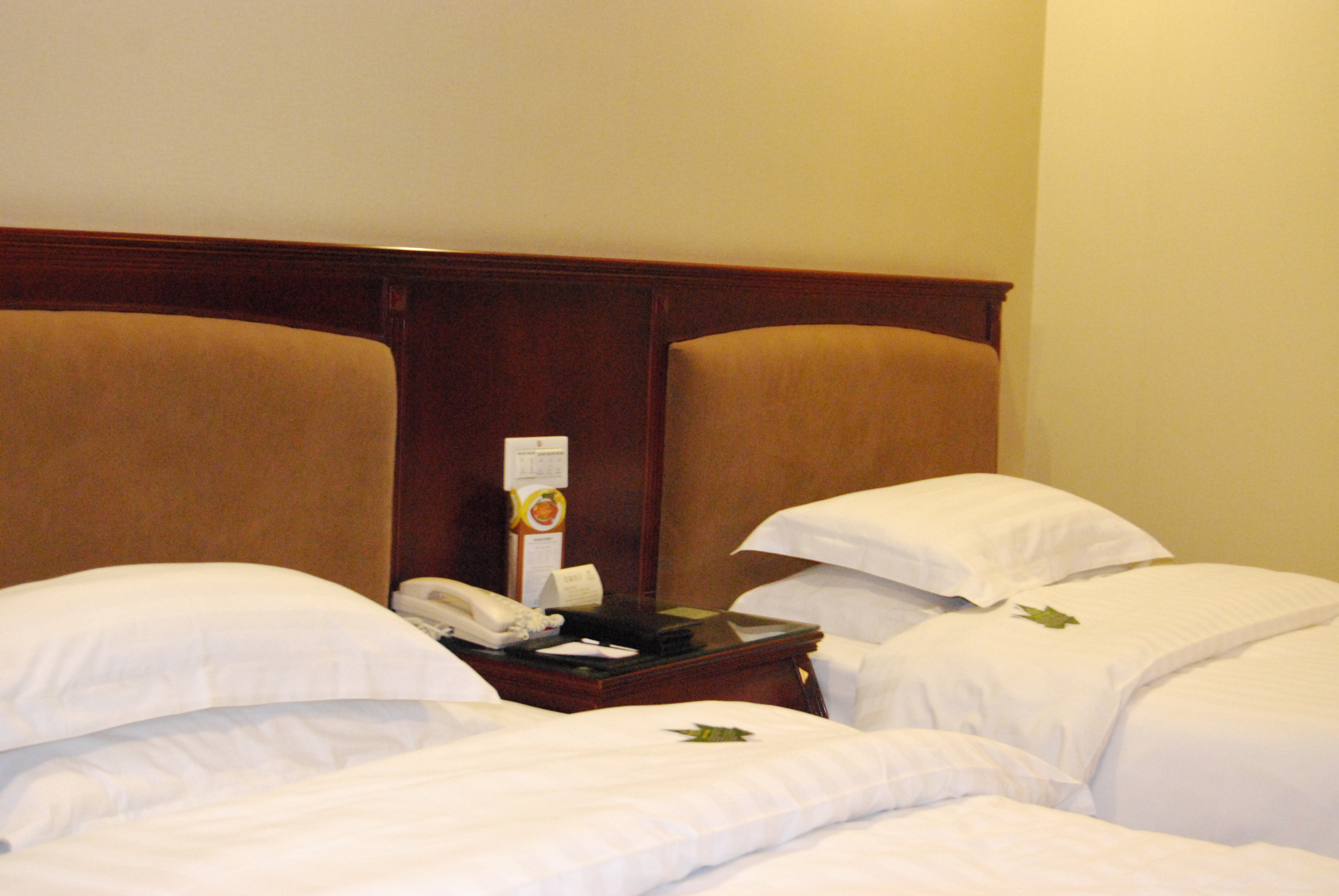 长沙和一国际大酒店-客卧