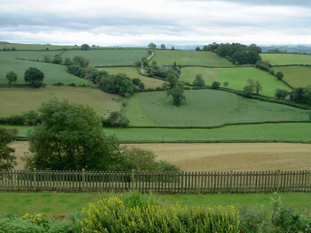 Trefnant Hall-客卧