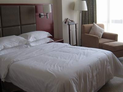 通程温泉大酒店主图