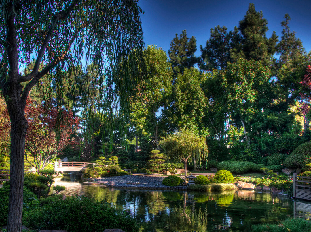 Earl Burns Miller Japanese Garden-长滩必去景点