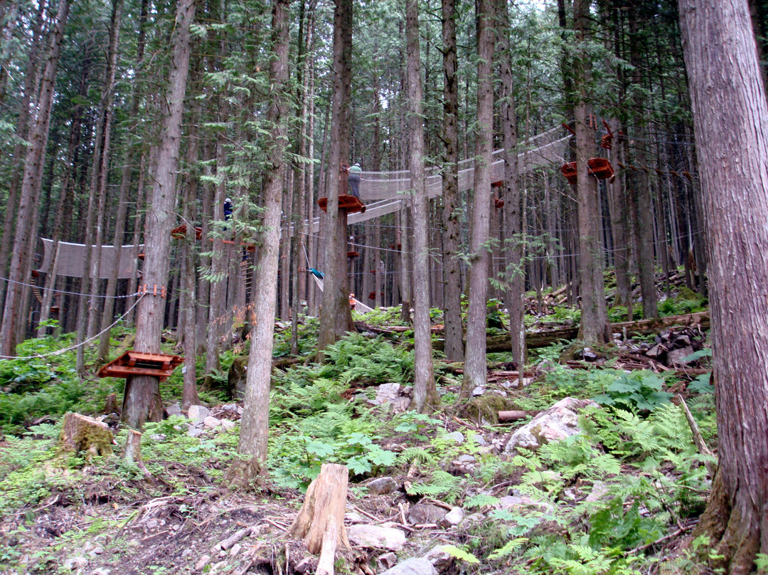 Skytrek Adventure Park-雷夫尔斯托克必去景点