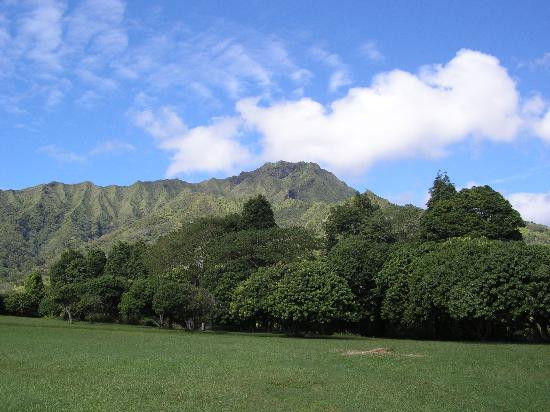 Kahili Mountain Park主图