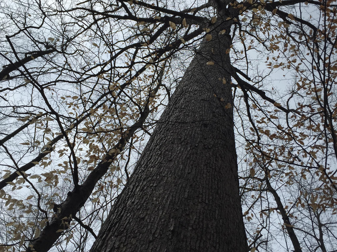 Muscatatuck National Wildlife Refuge-Seymour必去景点