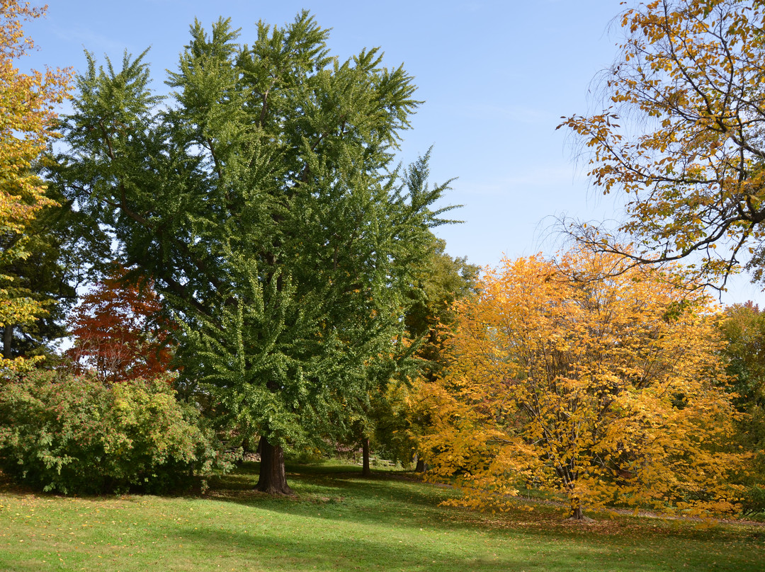 巴萃姆花园-费城必去景点