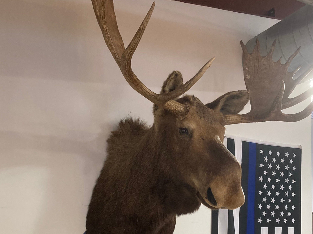 Doss General Store主图