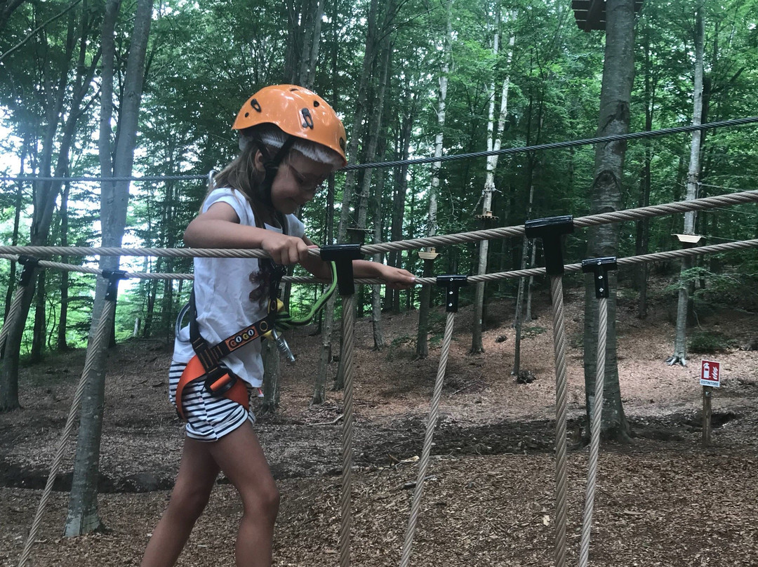 parco avventura SpiderPark-Marliana必去景点