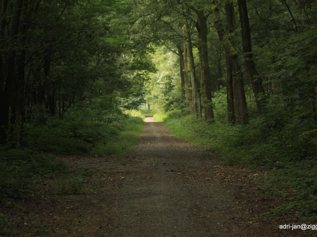 Natuurgebied de Zevenhutten