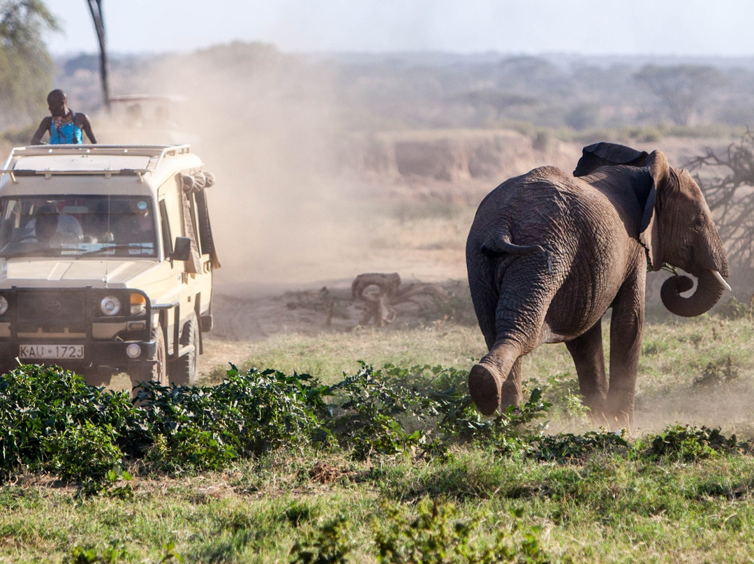 Bencia Africa-恩戈罗恩戈罗保护区必去景点