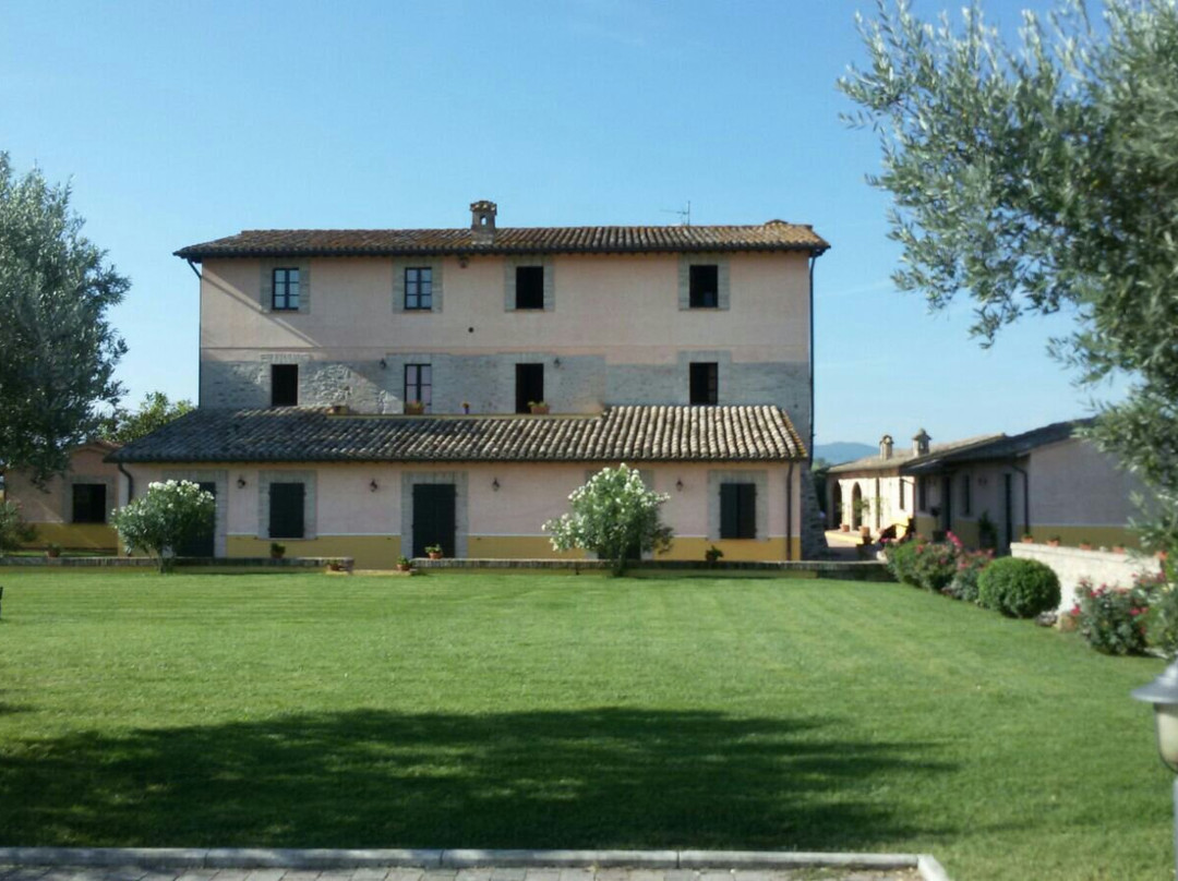 Le Stelle di S.Lorenzo