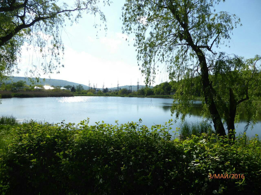 Park of Culture and Leisure景点图片