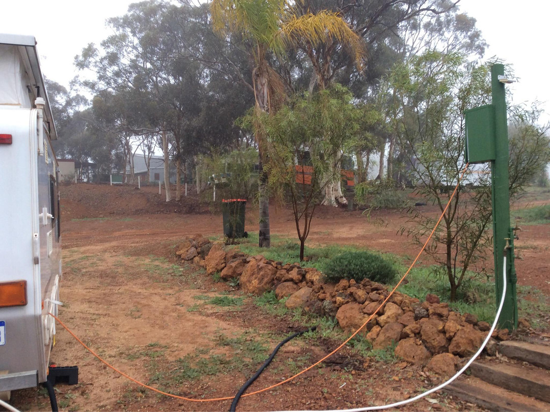 White Gum Farm Caravan Park