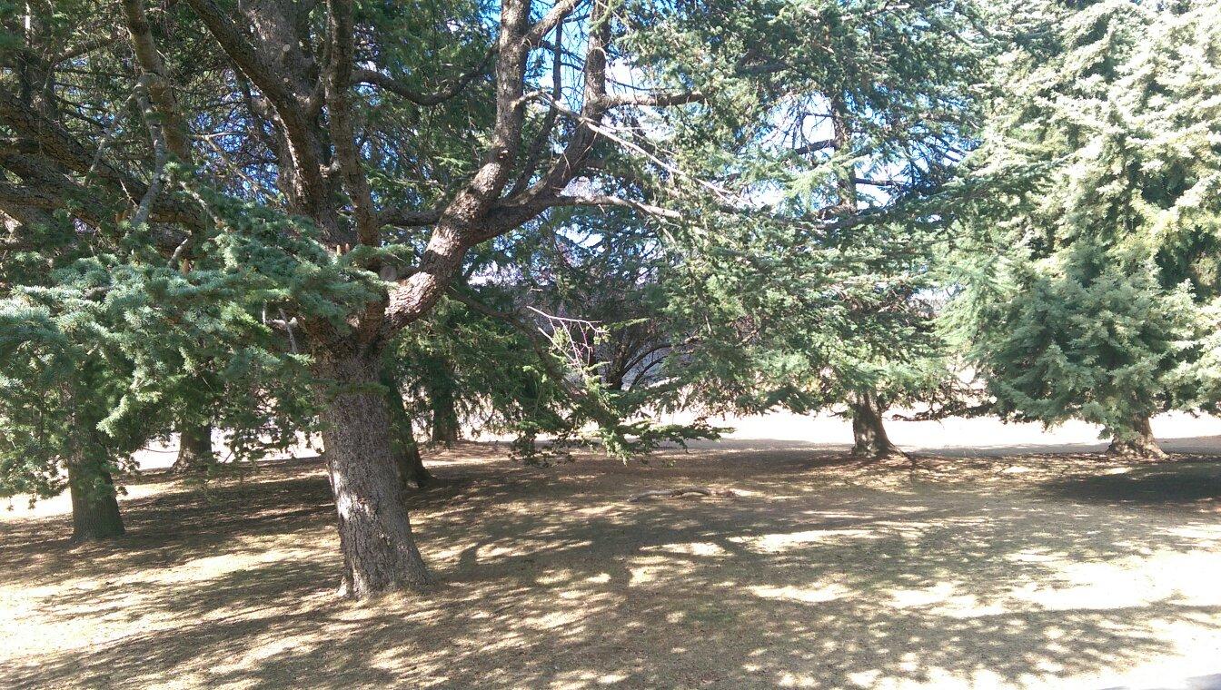 Cooradigbee Station-官方