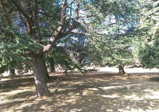 Wee Jasper酒店住宿-Cooradigbee Station