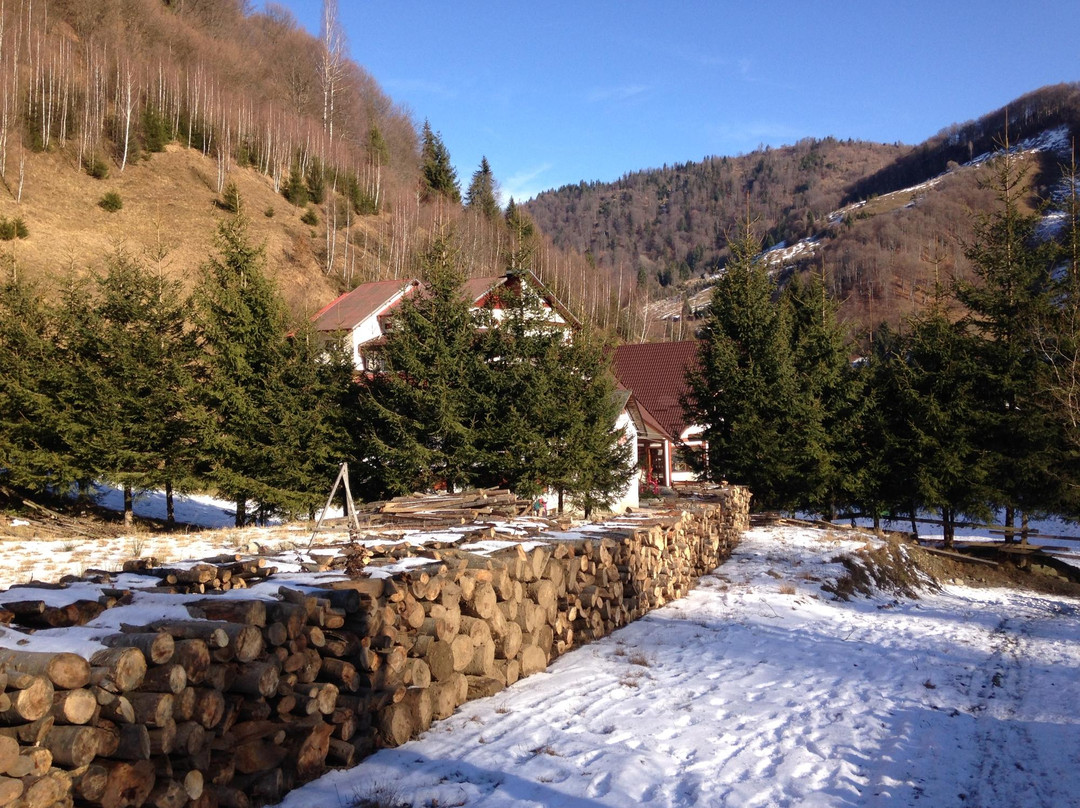 Pensiunea Valea Haiducilor Rucar