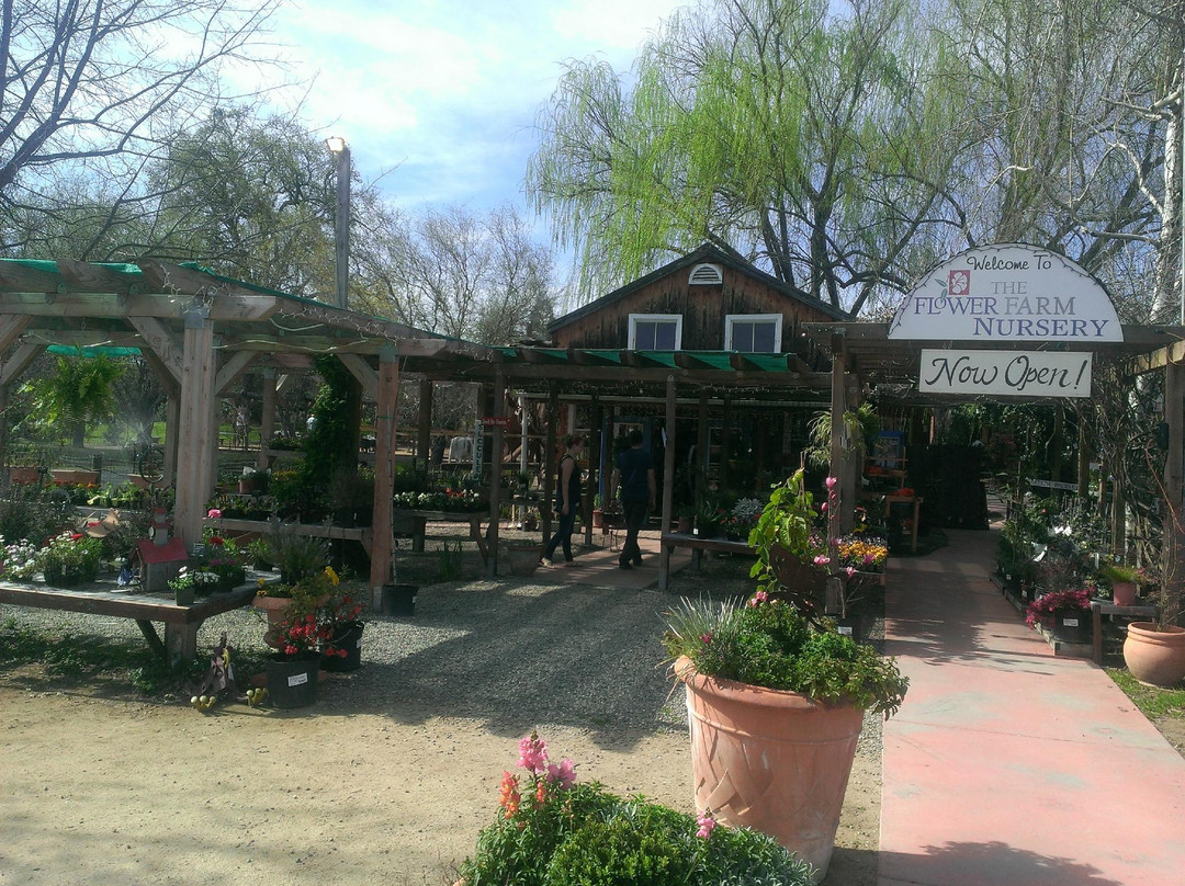 The Flower Farm Cafe