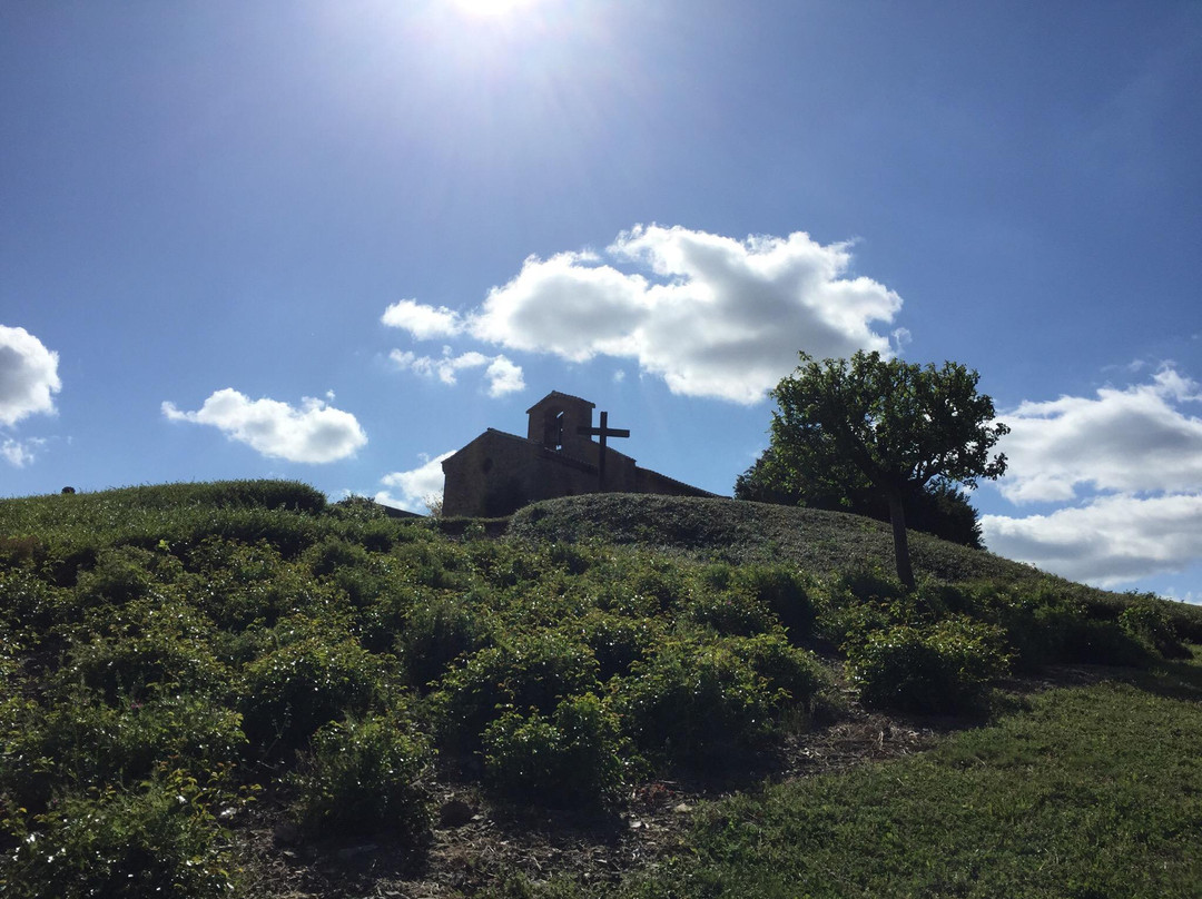 Julienas酒店住宿-Domaine de la Chapelle de Vatre