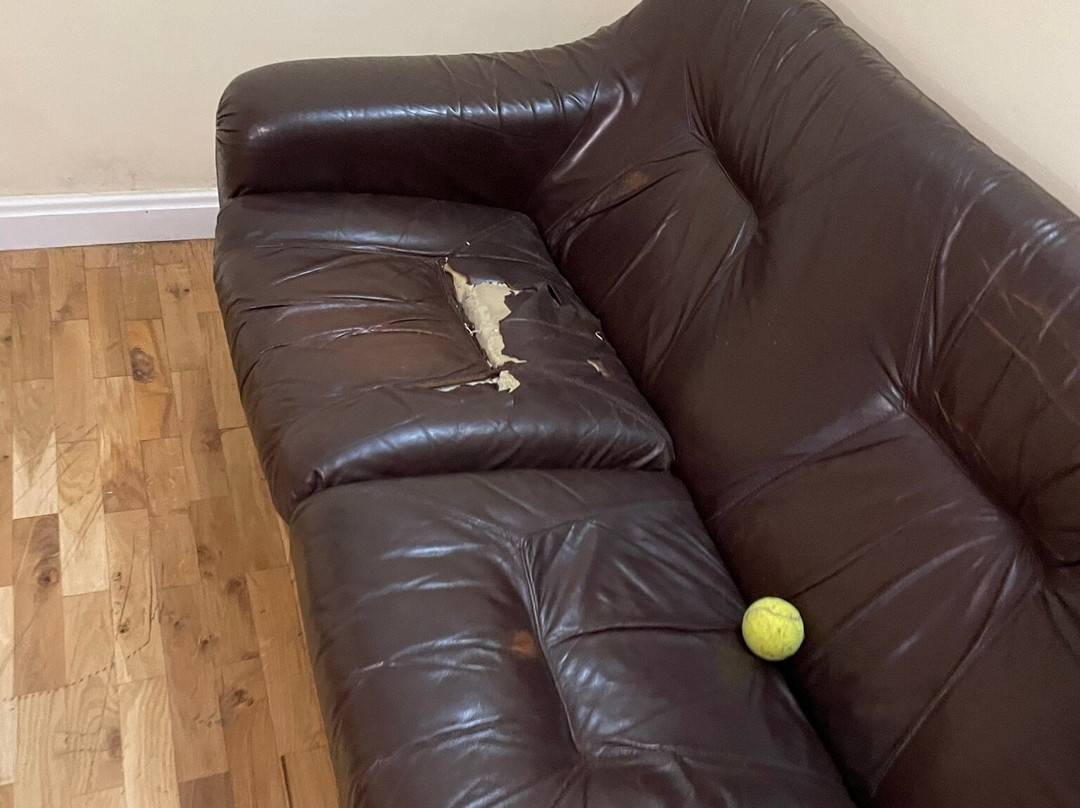 Pensjonat Eskapada主图