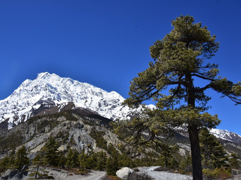Starlink Tours & Travel-博卡拉必去景点