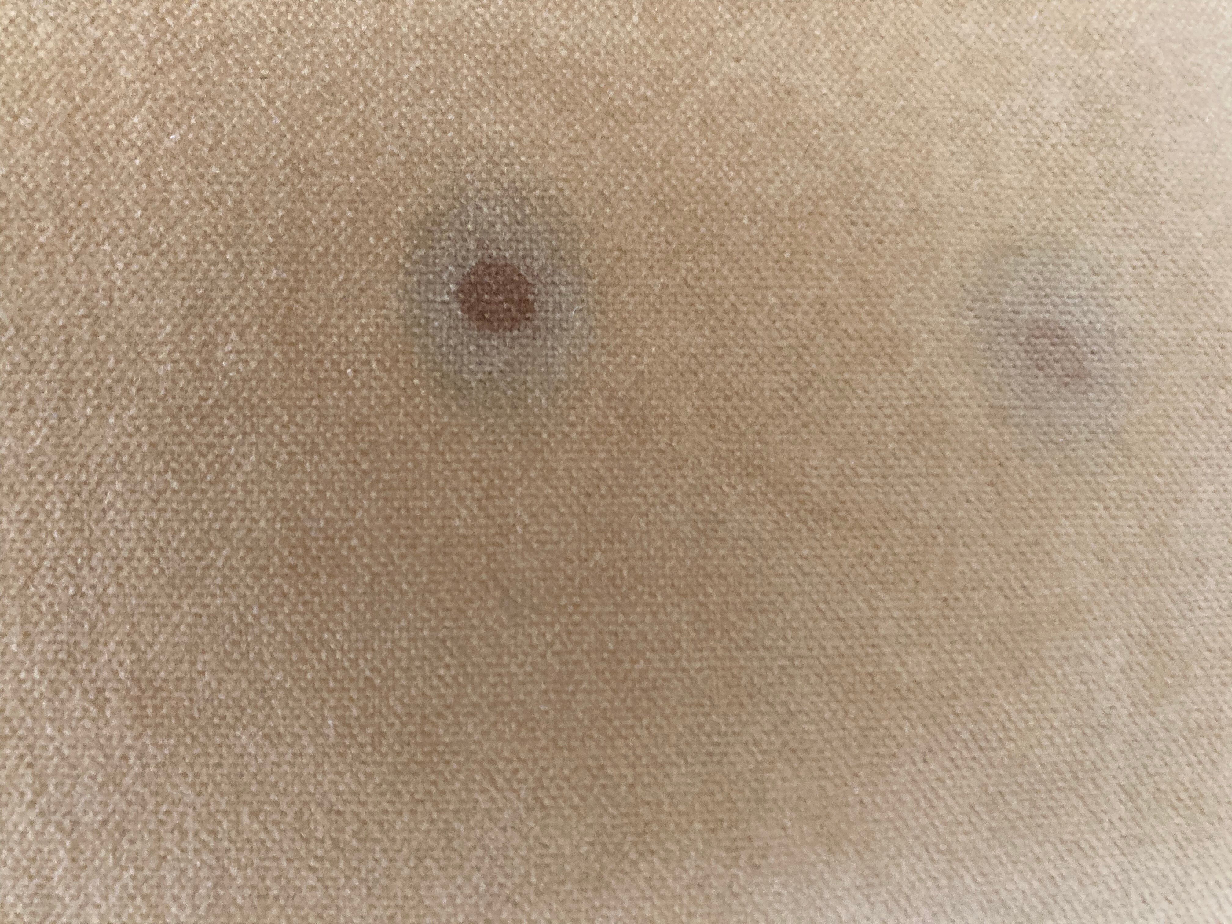 Broc House Suites-客卧