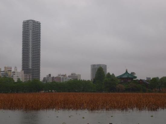上野公园-Uenokoen必去景点