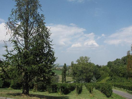 Parma Golosa Gourmet Tours-帕尔马必去景点