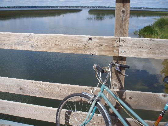 Lake Bemidji State Park-伯米吉必去景点